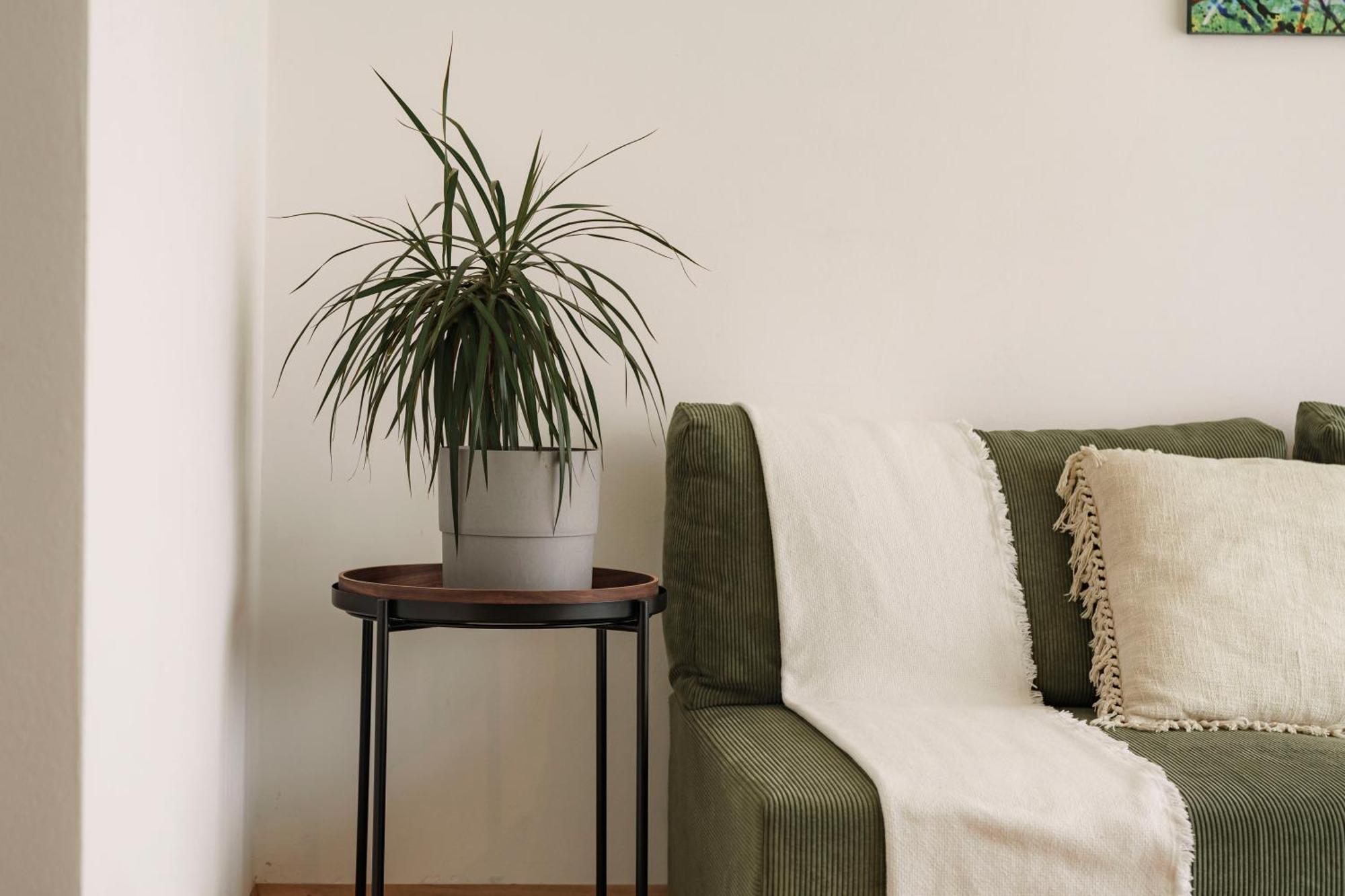 Mountain View Suites Tisens 외부 사진